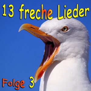 13 freche Lieder Folge 3